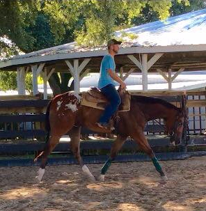 Gentleman Hunter 72816 Gentleman Hunter 72816