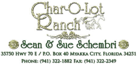char-o-lot-address-logo 2
