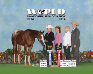 2014 World - Sarah Williams 2014 World - Sarah Williams