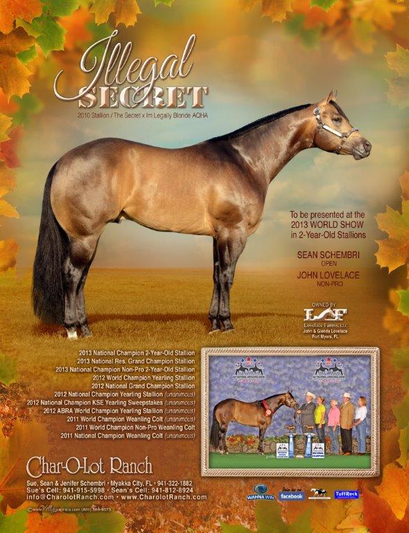 2-SCHEMBRI-ILLEGAL-SECRET-OCT2013 2-SCHEMBRI-ILLEGAL-SECRET-OCT2013