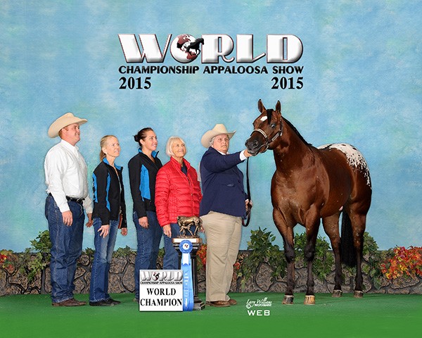 Zimmerman WC Yearling NP Stallion Zimmerman WC Yearling NP Stallion