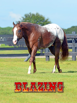 BLAZING vertical poster 2013 36x48 2 BLAZING vertical poster 2013 36x48 2