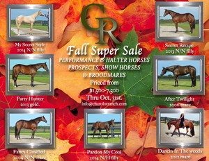Fall Super Saver Fall Super Saver