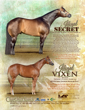 Schembri-Vixen-Secret-Oct2014 Schembri-Vixen-Secret-Oct2014