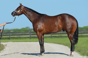 Secret Addiction 514 010 Secret Addiction 514 010