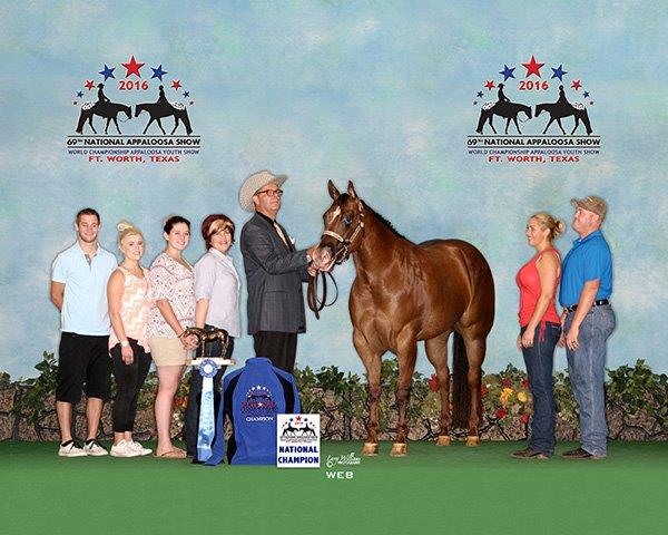 David Beck 3YO Non-Pro 2 David Beck 3YO Non-Pro 2