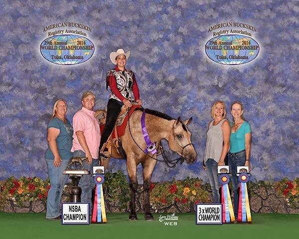 Davinci 3 X World Champion Davinci 3 X World Champion